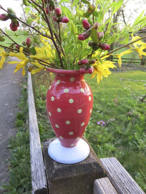 Tüpflivase1